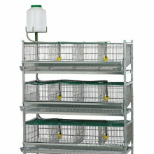 automatic design battery layer chicken cages/ commercial quail layer cage